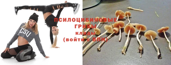 ГАЛЛЮЦИНОГЕННЫЕ ГРИБЫ Арсеньев