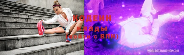 ГАЛЛЮЦИНОГЕННЫЕ ГРИБЫ Арсеньев