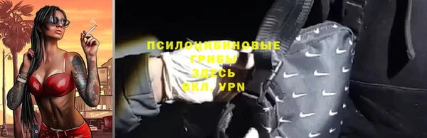 ГАЛЛЮЦИНОГЕННЫЕ ГРИБЫ Арсеньев