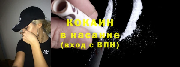 ГАЛЛЮЦИНОГЕННЫЕ ГРИБЫ Арсеньев