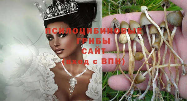 ГАЛЛЮЦИНОГЕННЫЕ ГРИБЫ Арсеньев
