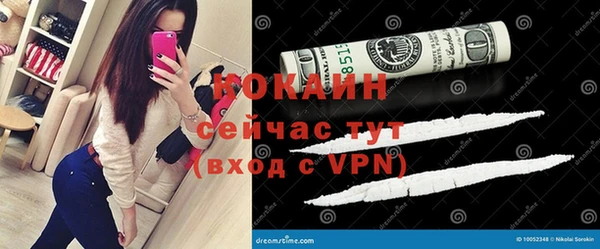 ГАЛЛЮЦИНОГЕННЫЕ ГРИБЫ Арсеньев